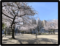 花乃井公園