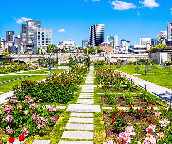 中之島公園（バラ園）