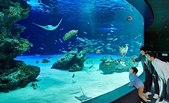 サンシャイン水族館