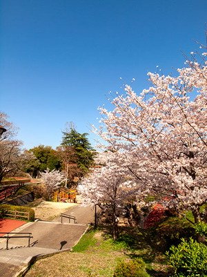 勝盛公園