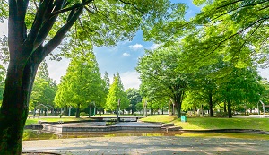 穴川中央公園