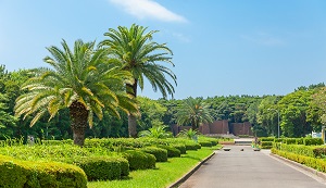 稲毛海浜公園