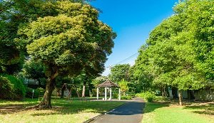 小園公園