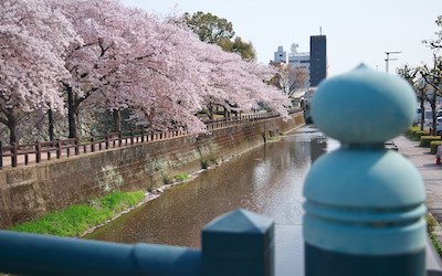 千姫の小径