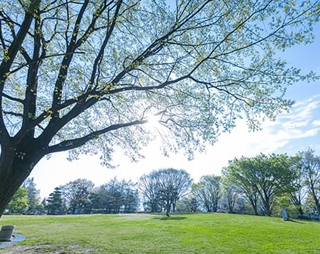 長野県若里公園