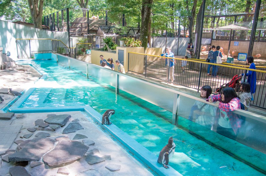夢見ヶ崎動物公園