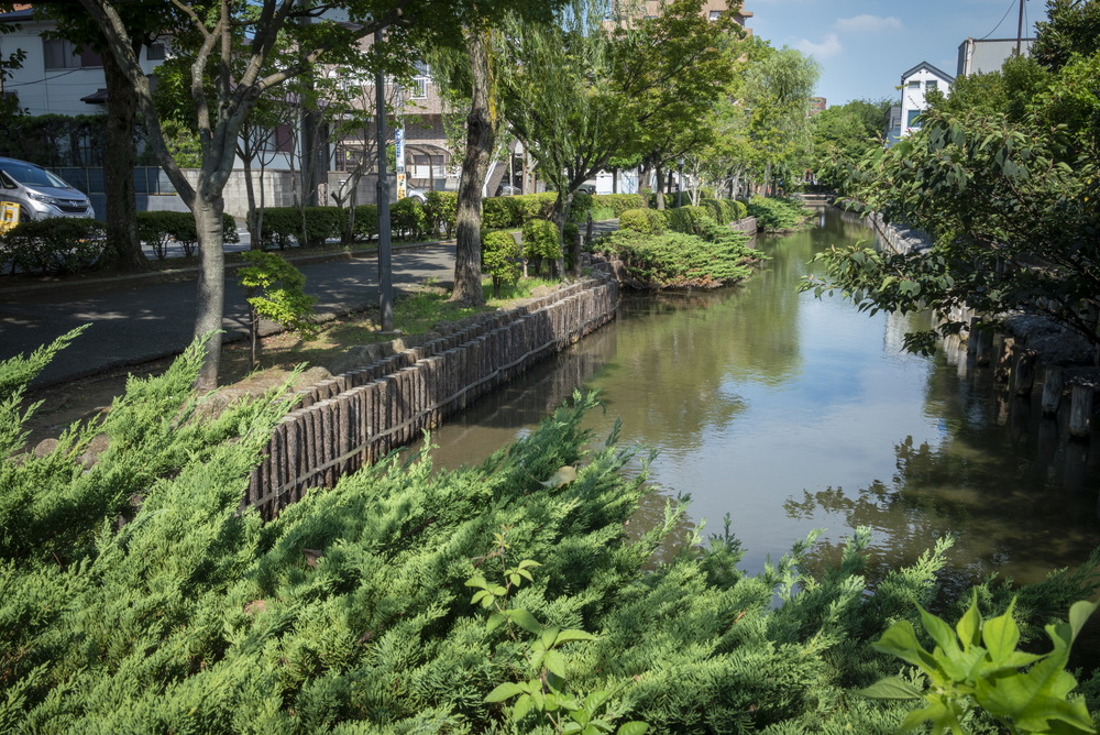 左近川親水緑地