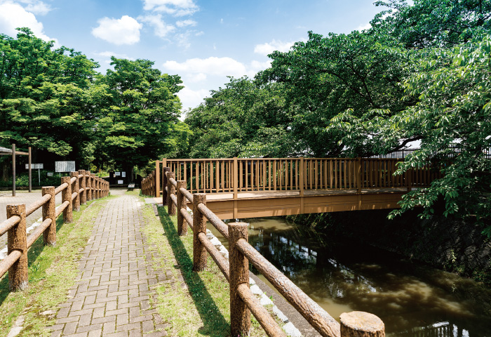 さいたま市荒川総合運動公園