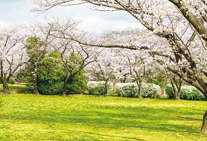 秋ヶ瀬公園