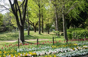 上坂部西小園