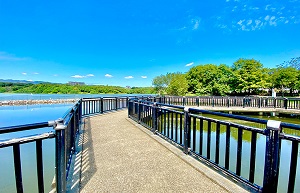 昆陽池公園