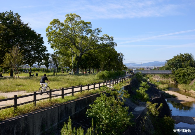 天野川緑地