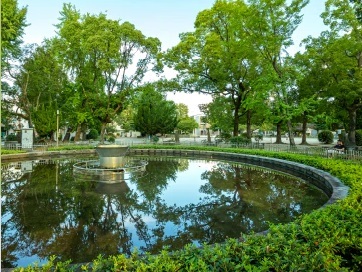 新森中央公園