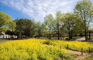 尼崎市立農業公園