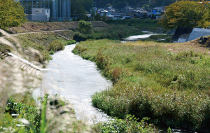 那珂川歩道