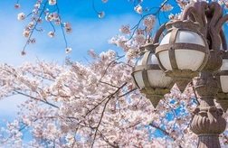 千波公園
