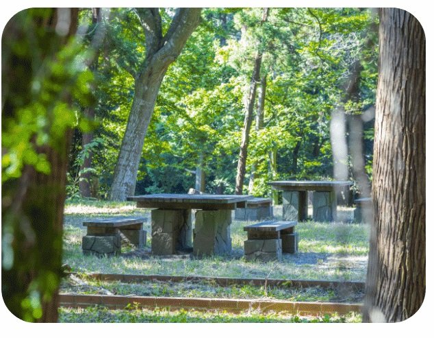 村上神明公園