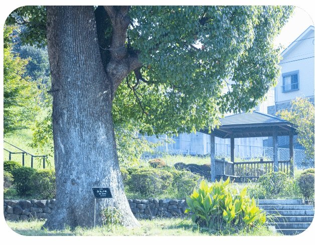 辺田前3号公園