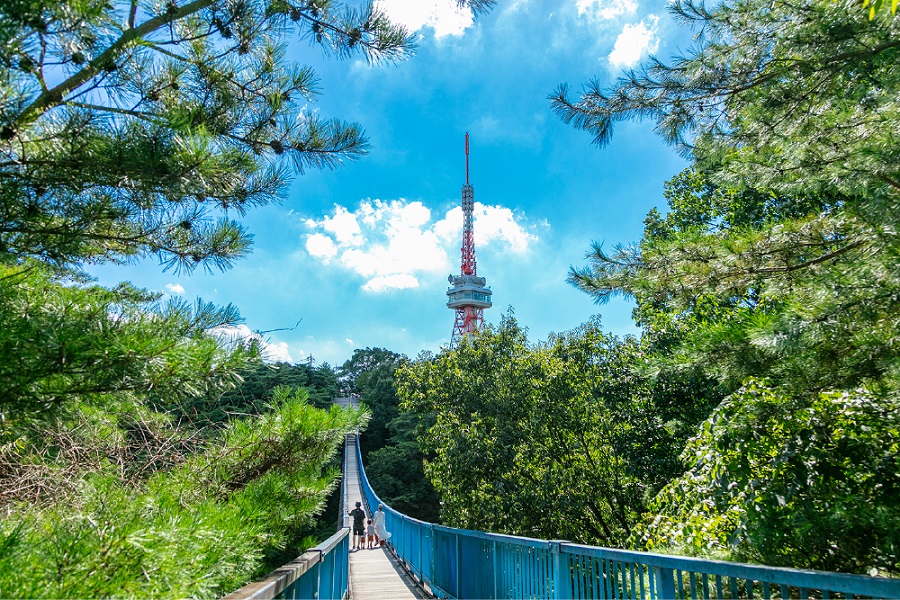 八幡山公園