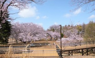 鶴間公園