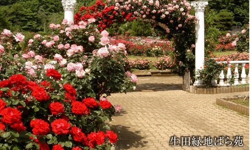 生田緑地