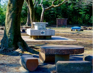 秋ヶ瀬公園