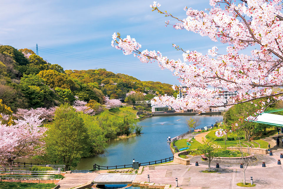 福岡県営中央公園