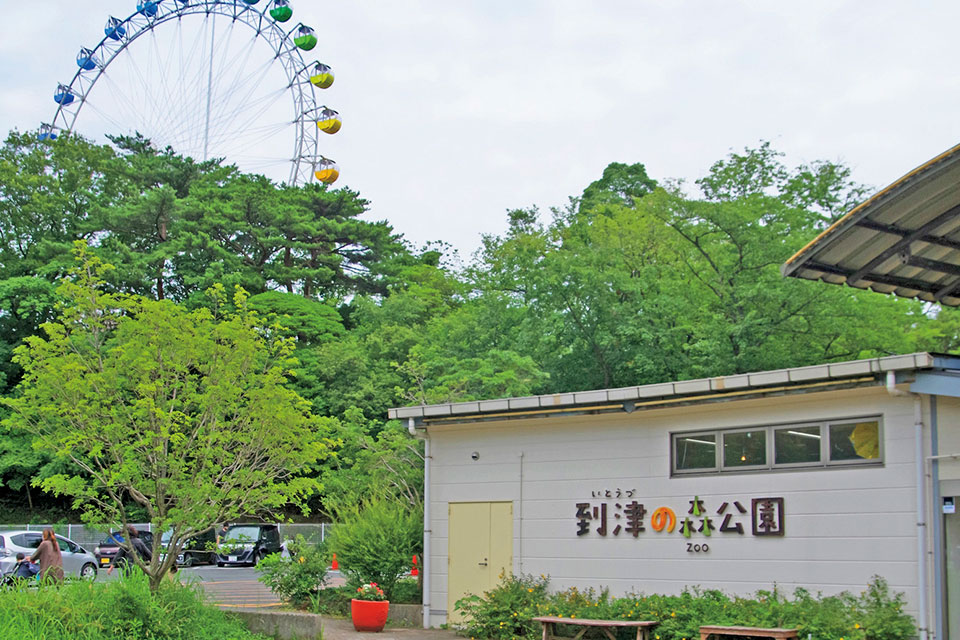 到津の森公園