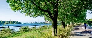 彩湖・道満グリーンパーク