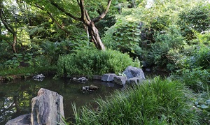 下落合野鳥の森公園