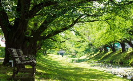 立川公園