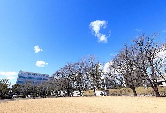 姉妹都市公園