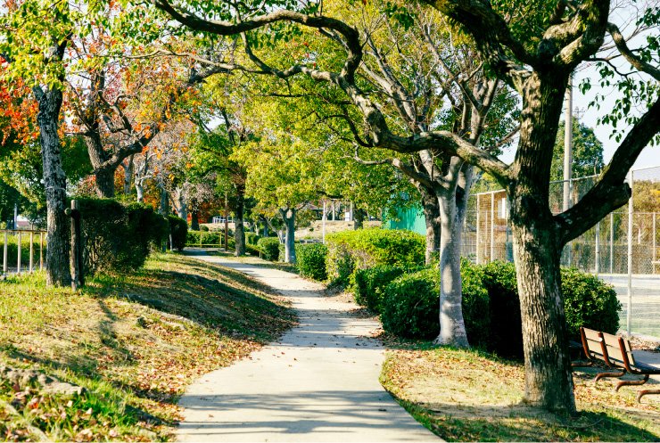 千鳥ヶ池公園