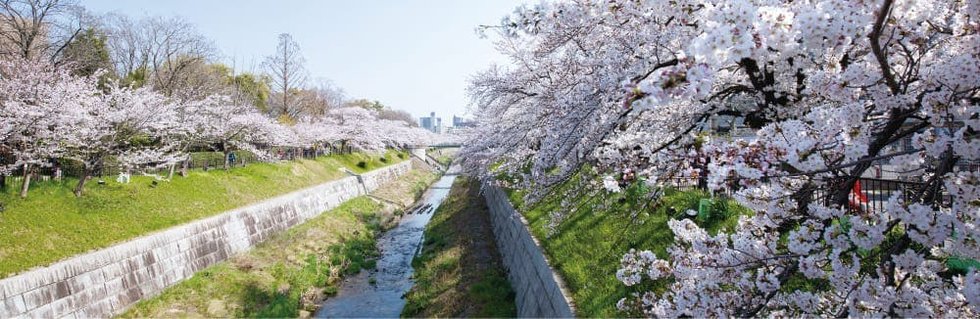 山崎川界隈