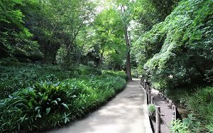 おとめ山公園