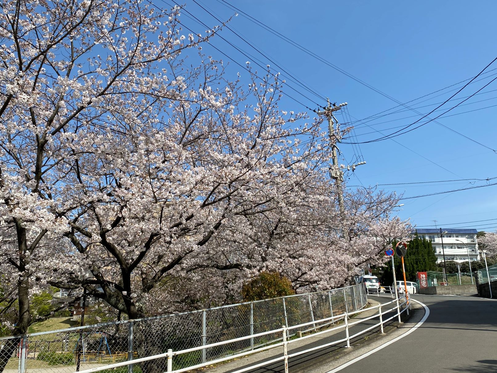 小笹北公園