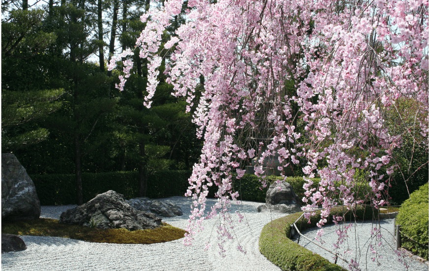 妙心寺退蔵院
