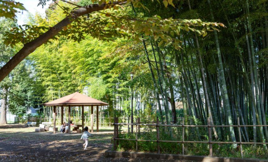 たけのこ公園