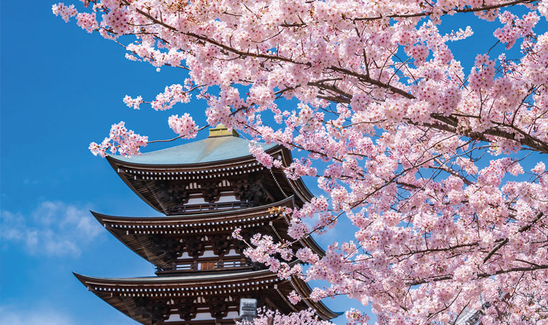 覚王山 日泰寺