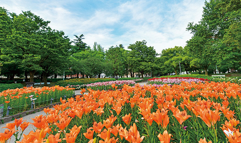 千種公園