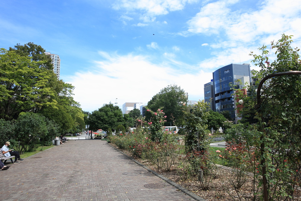 大通公園