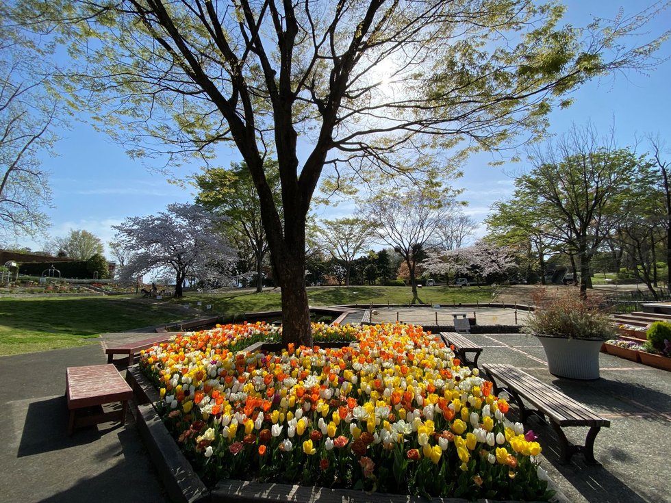 福岡市植物園