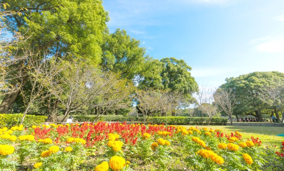 県立行田公園