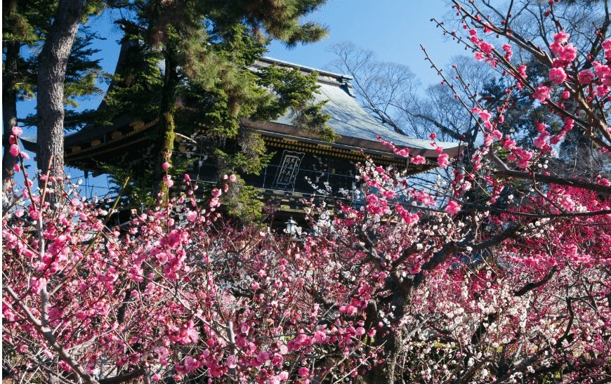 北野天満宮
