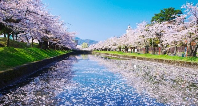 鶴岡公園