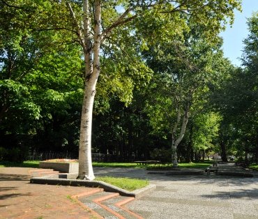 永山記念公園