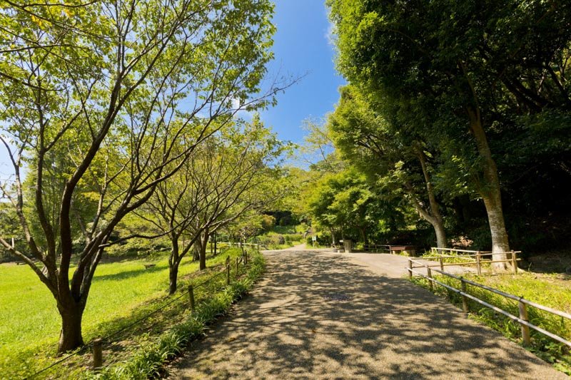 鎌倉中央公園