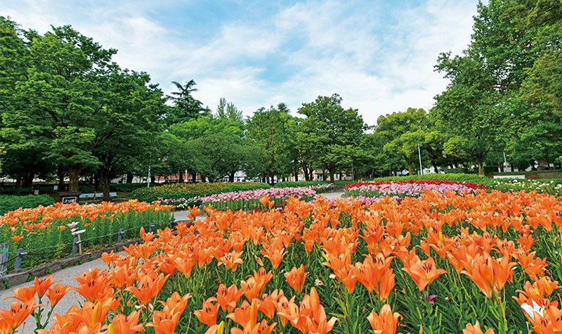 千種公園