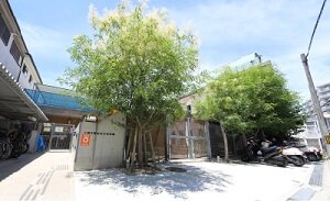 上野芝陽だまり保育園