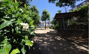 東上野芝町いわつめくさ公園